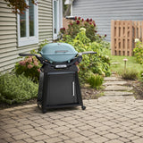 Weber Q 2800N+ Gas Grill with Stand