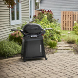 Weber Q 2800N+ Gas Grill with Stand