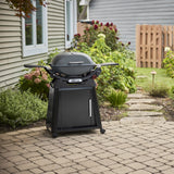 Weber Q 2800N+ Gas Grill with Stand